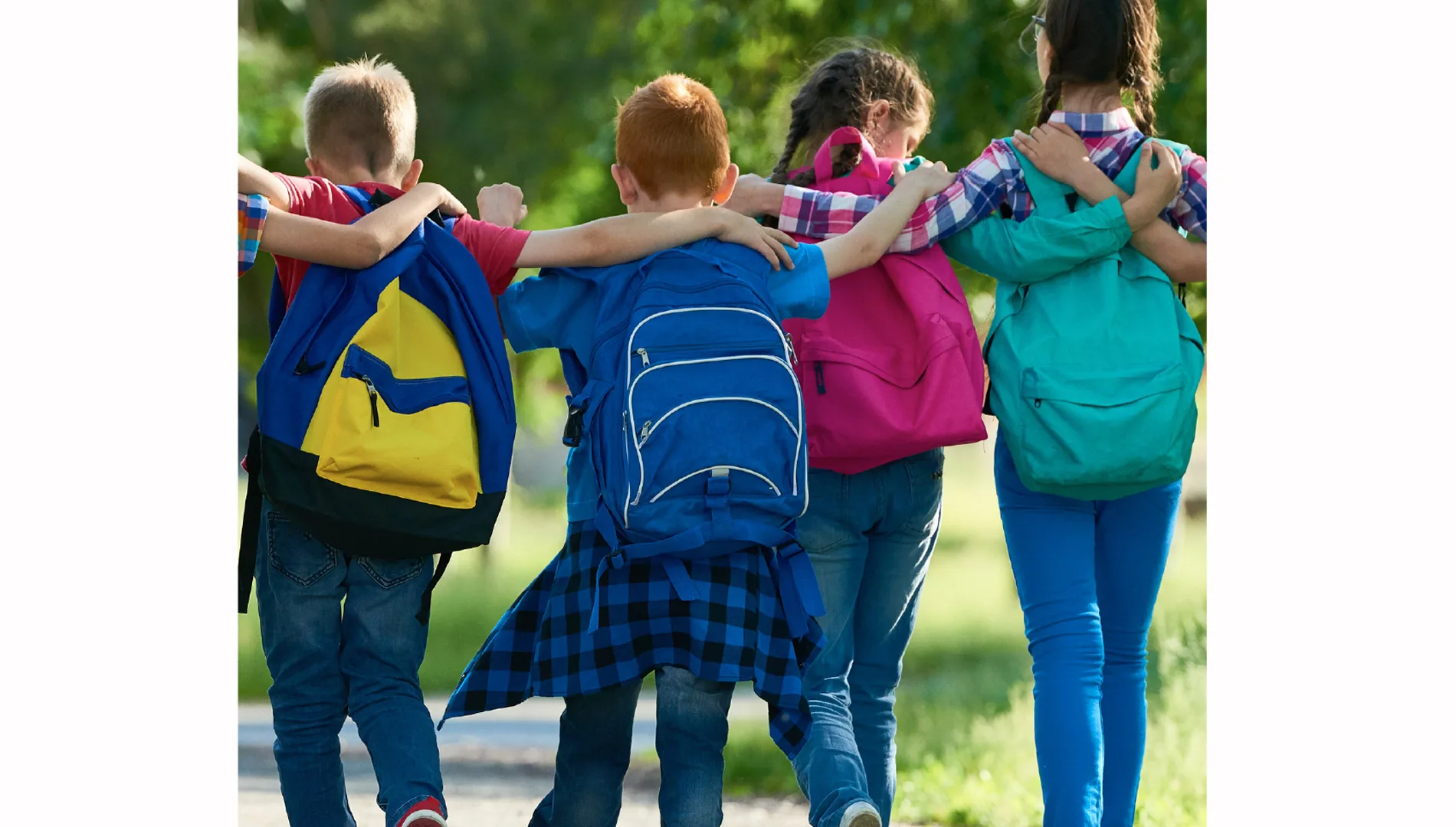 Albi des visites guidées adaptées pour tous les scolaires