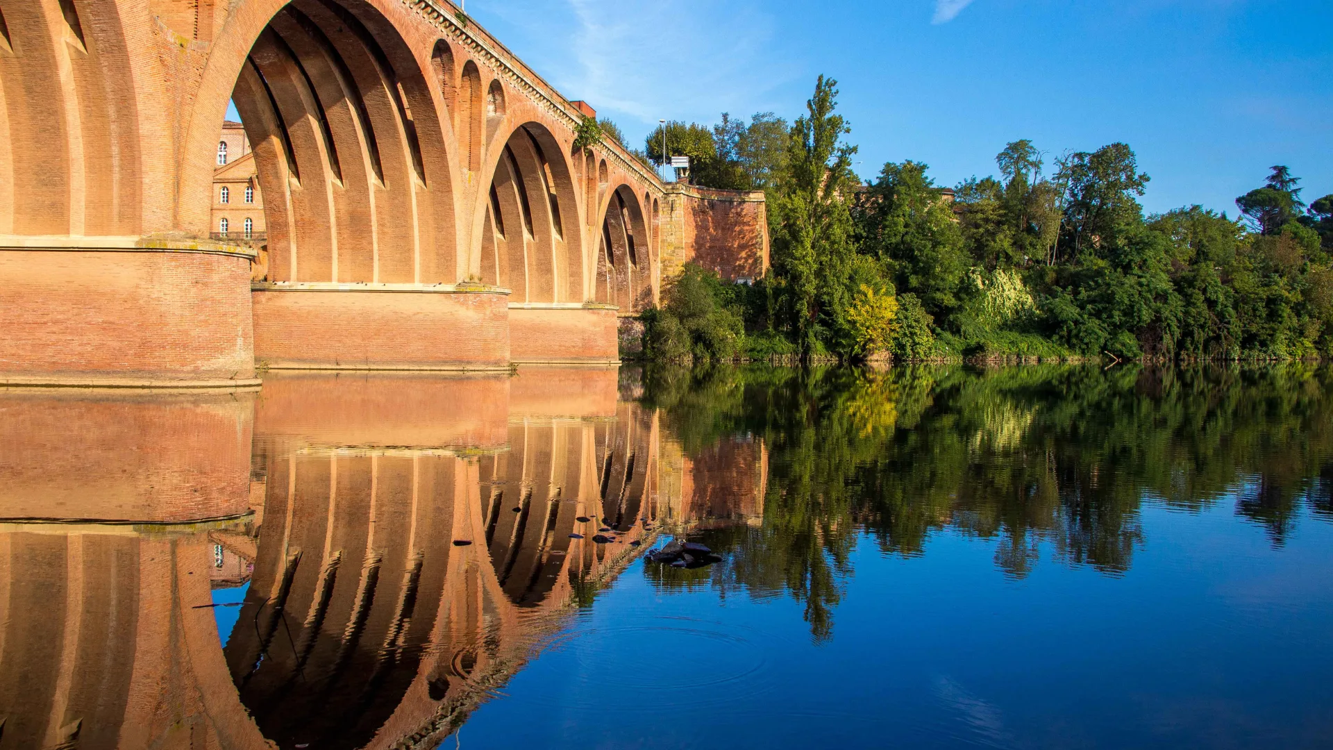 Albi Tourisme - espace Pro