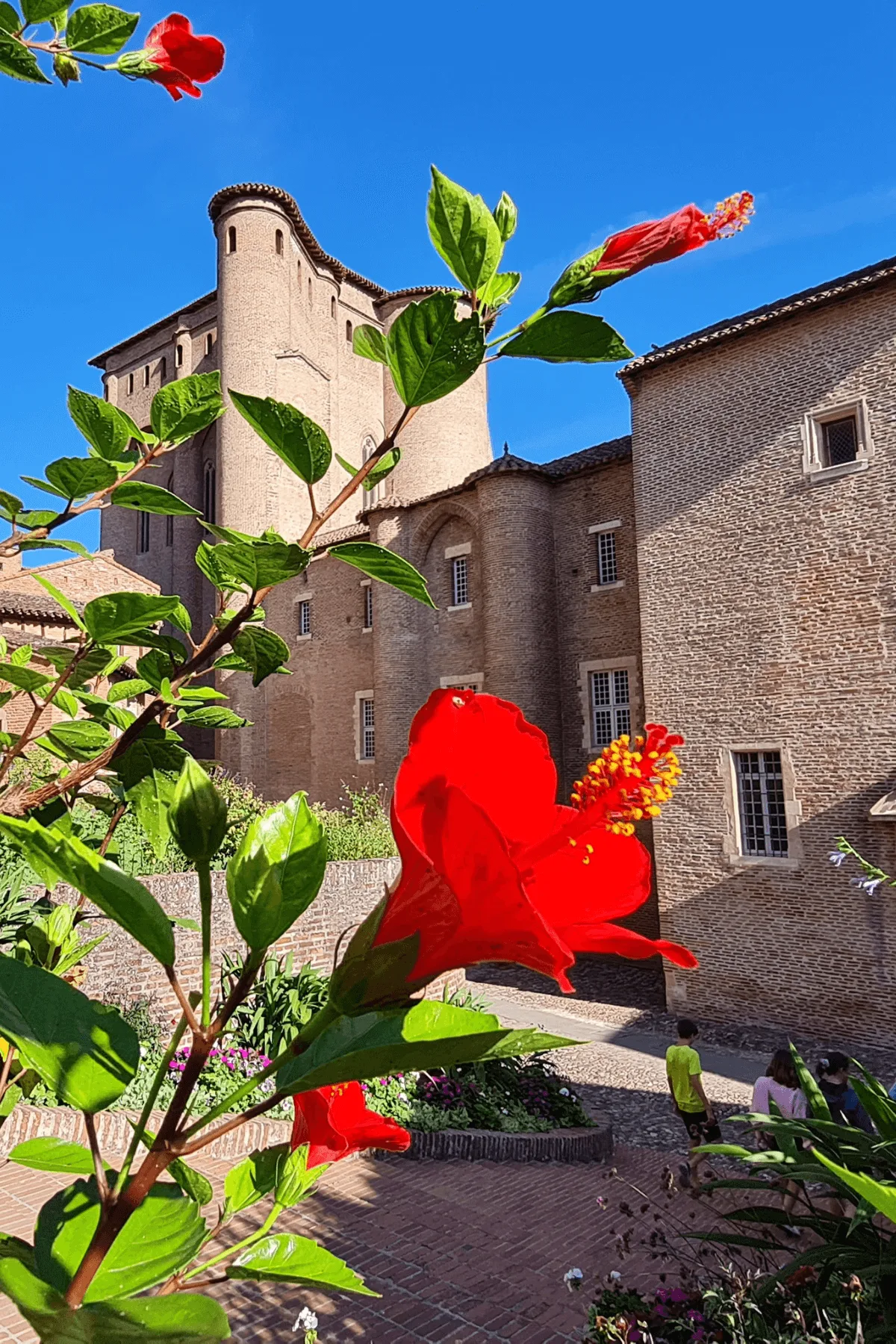 Albi le palais de la Berbie, incontournable, mTL