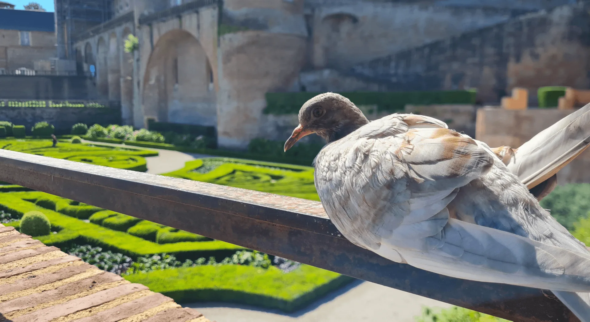 Albi ville nature, un riche patrimoine naturel