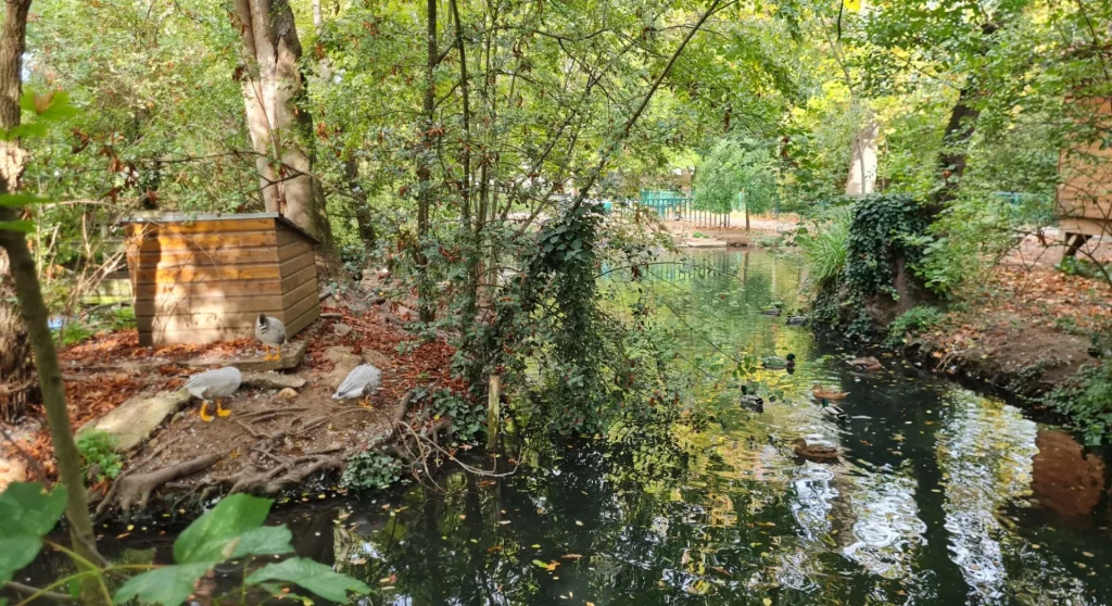 Albi découvrir et observer la nature dans le Parc Rochegude, en centre ville