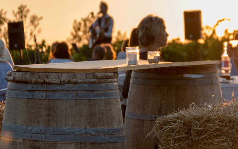 Albi -Animations dans le vignoble de Gaillac, à quelques kilomètres d'Albi