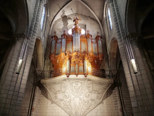 Albi orgue de la Collégiale Saint Salvi