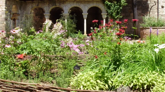 Albi cloitre Saint Salvi, jardin des simples