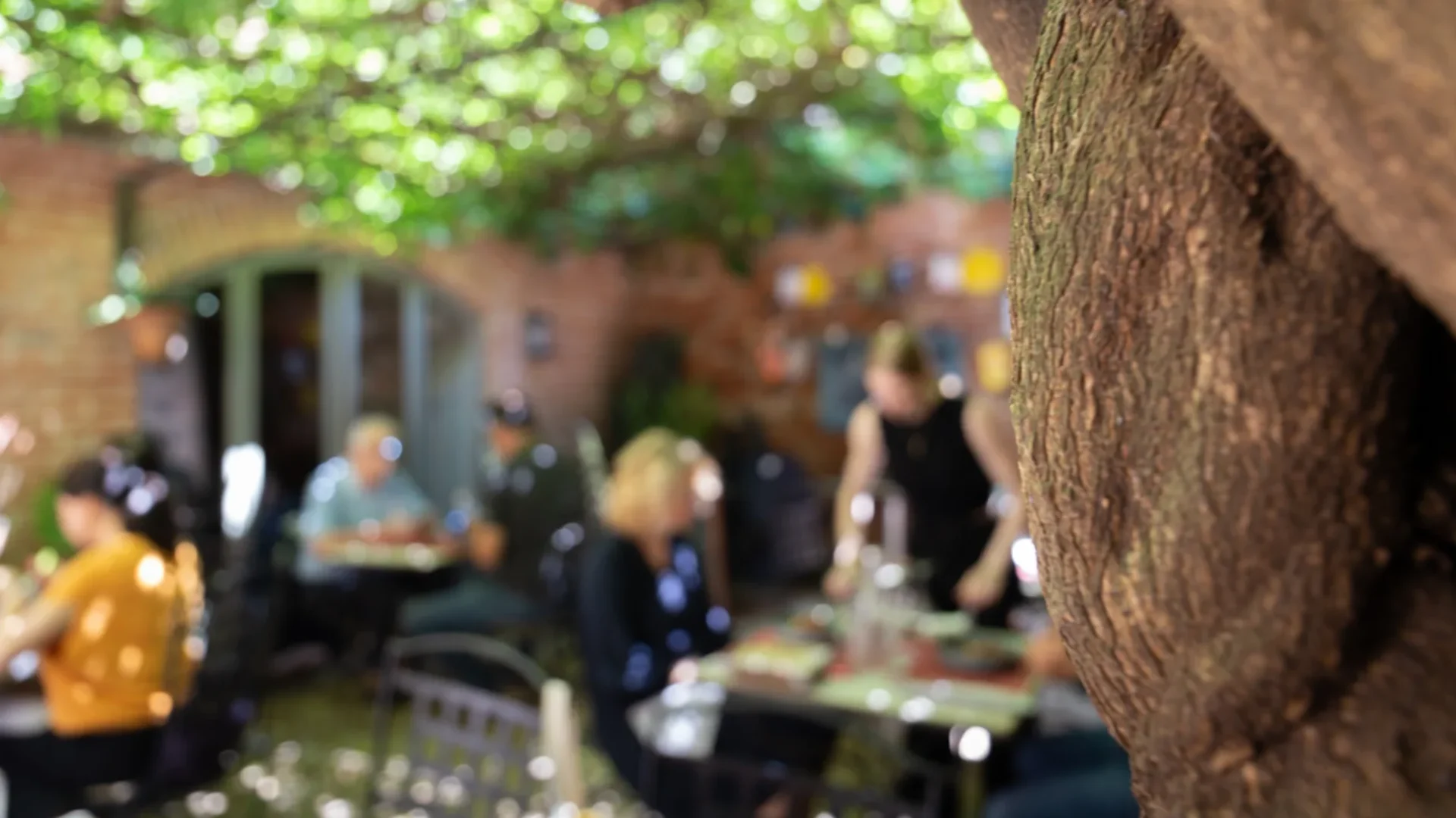 Albi, les adresses gourmandes de l'Office de Tourisme