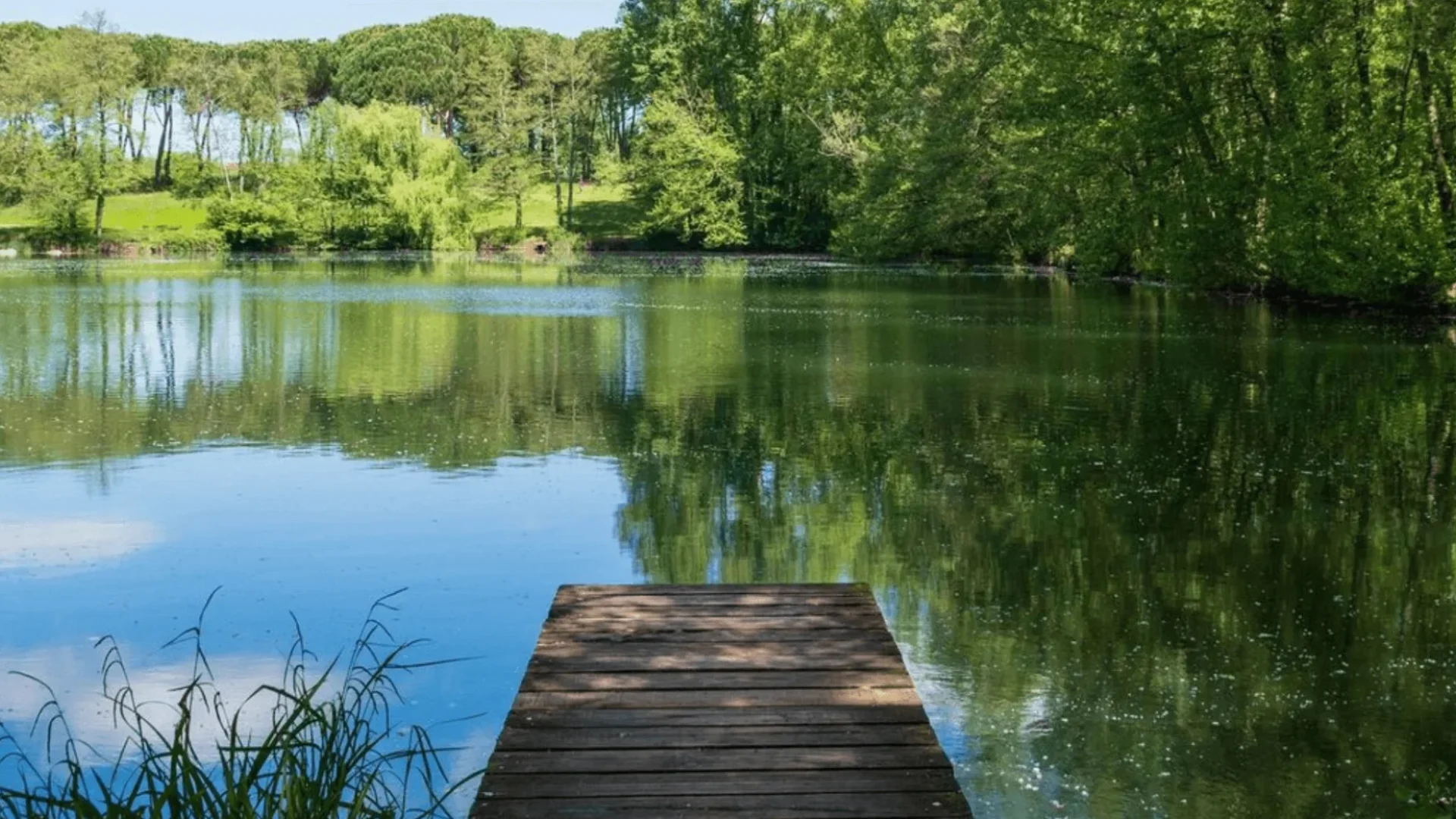 Albi, une ville nature