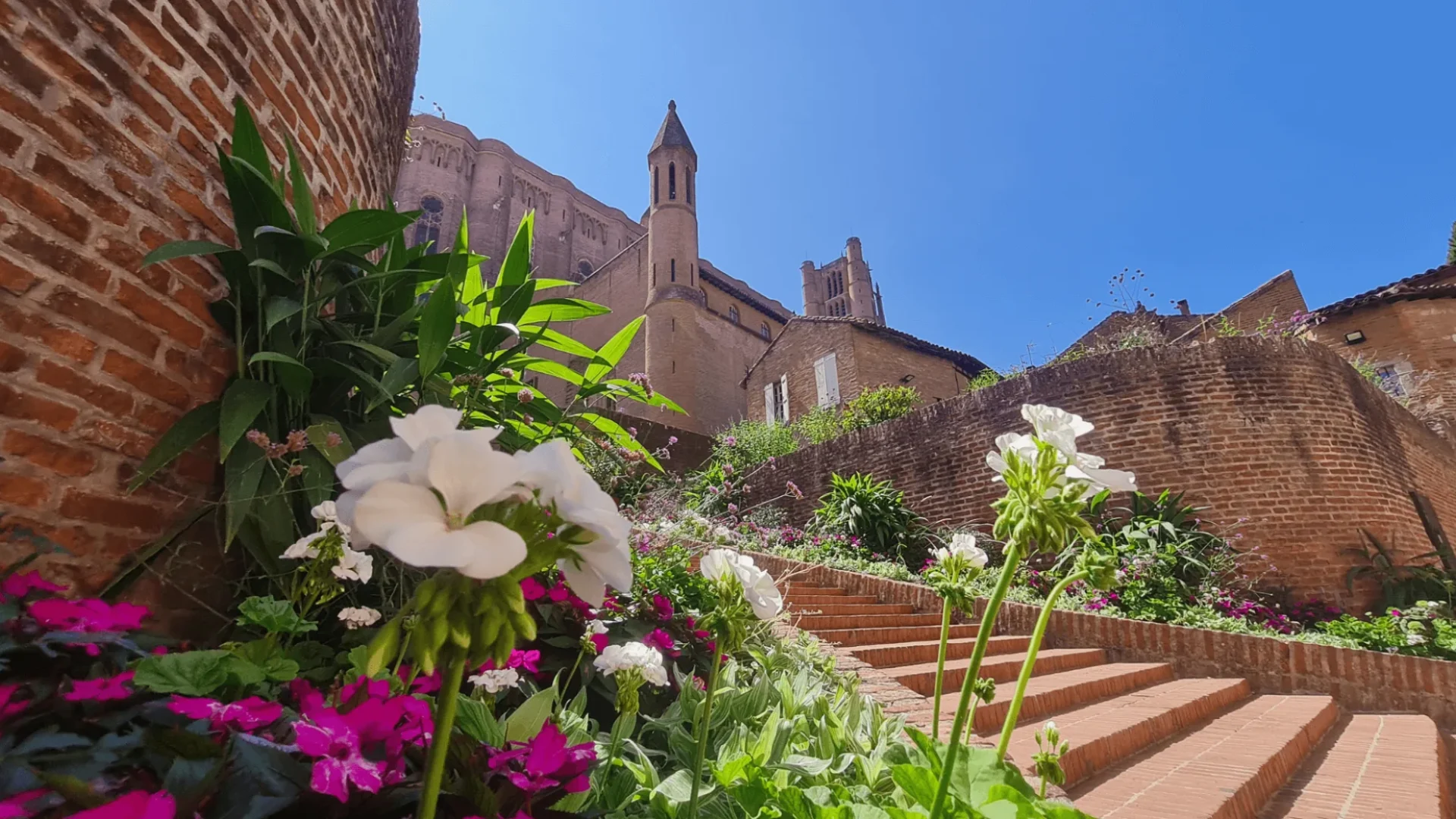 Albi destination d'exceptio, découvrir les incontournables