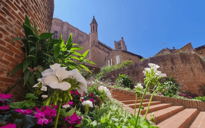 Albi destination d'exceptio, découvrir les incontournables