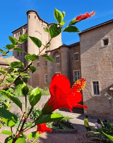 Albi le palais de la Berbie, incontournable, mTL