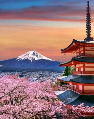 fleurs-cerisier-au-printemps-pagode-chureito-montagne-fuji-au-coucher-du-soleil-au-japon - Quinzaine du Japon à Albi en Occitanie