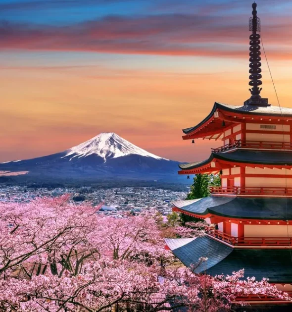 fleurs-cerisier-au-printemps-pagode-chureito-montagne-fuji-au-coucher-du-soleil-au-japon - Quinzaine du Japon à Albi en Occitanie