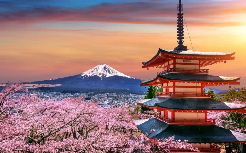 fleurs-cerisier-au-printemps-pagode-chureito-montagne-fuji-au-coucher-du-soleil-au-japon - Quinzaine du Japon à Albi en Occitanie